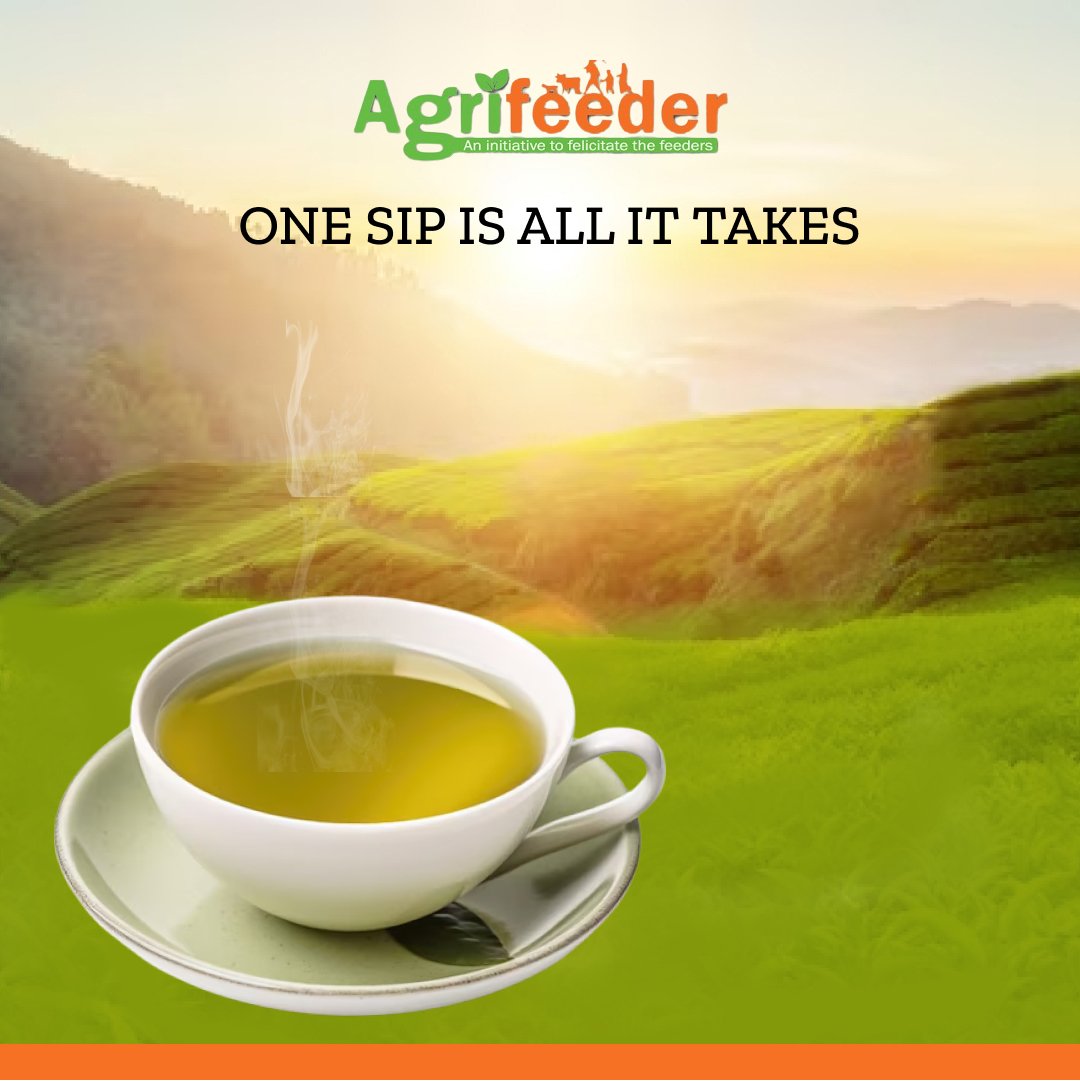 @Agrifeeder offer you the blend that fulfill your wellness needs.
#agrifeeder_lemongrass_herbal_tea
@IndustriesBihar @narendramodi @Rounak7640 @SandeepPoundrik @ShahnawazBJP @AshwiniKChoubey  @iitbhurabi @amityincubator @aIDEA_NAARM @BiharStartup @IPRD_Bihar @BiharKiBhoomi