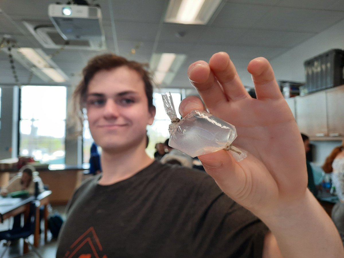 marcymcscience's tweet photo. The beauty and wonder of Science! FOS 3 students created models of the cell membrane using dialysis tubing to determine if they are semi-permeable or selectively permeable like our cells. https://t.co/1XkWhhbX2W