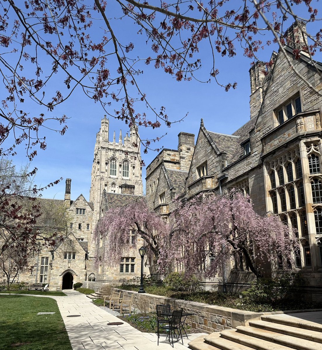 Salma Mousa / سلمى موسى (@salma_mousa_) on Twitter photo Teaching my last class at Yale today. I’ve enjoyed every conversation, every coffee, every crunchy leaf. Couldn’t ask for better colleagues or students. Utter privilege to have been here. Special thanks to the superstars at <a href="/YaleMacMillan/">Yale MacMillan Center</a> <a href="/YaleEGC/">Yale Economic Growth Center</a> <a href="/ISPSYale/">Yale ISPS</a>.
Onwards to <a href="/UCLA/">UCLA</a>! Teaching my last class at Yale today. I’ve enjoyed every conversation, every coffee, every crunchy leaf. Couldn’t ask for better colleagues or students. Utter privilege to have been here. Special thanks to the superstars at <a href="/YaleMacMillan/">Yale MacMillan Center</a> <a href="/YaleEGC/">Yale Economic Growth Center</a> <a href="/ISPSYale/">Yale ISPS</a>.
Onwards to <a href="/UCLA/">UCLA</a>!