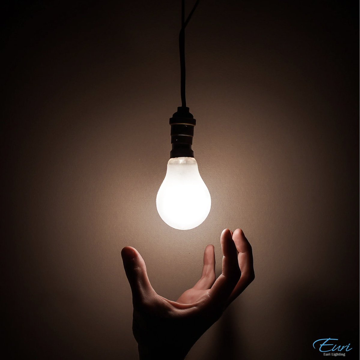 Euri_Lighting's tweet photo. Upgrade your lighting game with our sleek LED fixtures! 

From modern minimalist designs to vintage-inspired pieces, we've got options to suit any style 😎 https://t.co/h7sCEjwfQ2