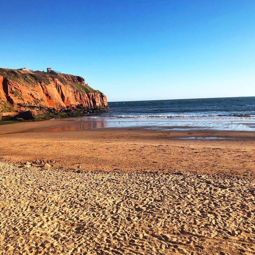 The Great British Garden Festival tweet media