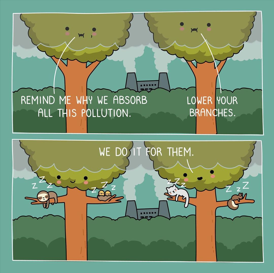 Let's do something for them❤️

#bhent_india #tree #Treegens #savetheplanet #SaveTheTigers #SaveTheBees #SaveTheOwlHouse #CatsOfTwitter #CatsOnTwitter #CatsofTwittter #Dogecoin #dolar #DogLovers #Dogsarefamily #DogsofTwittter #DogsOnTwitter #save #pollution #branch