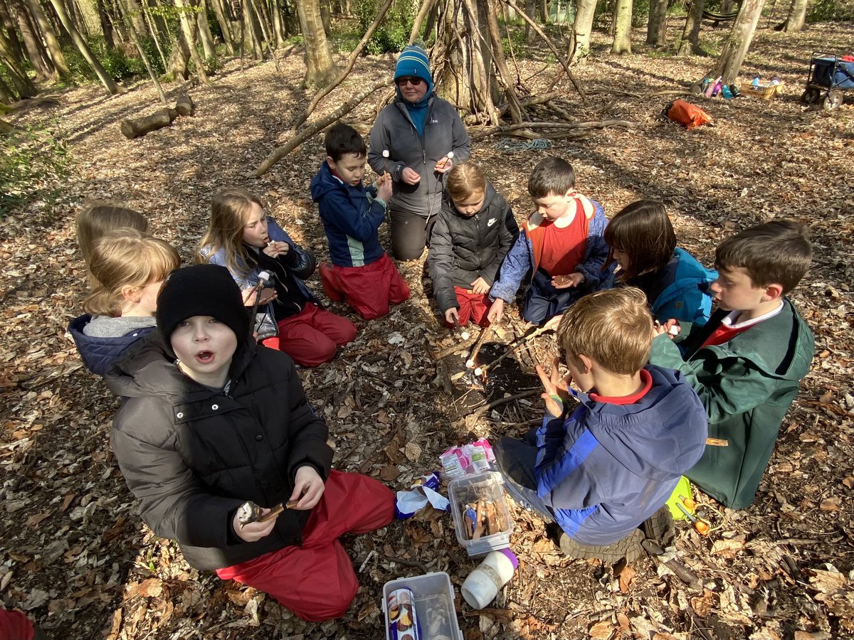 dpsforestschool tweet media