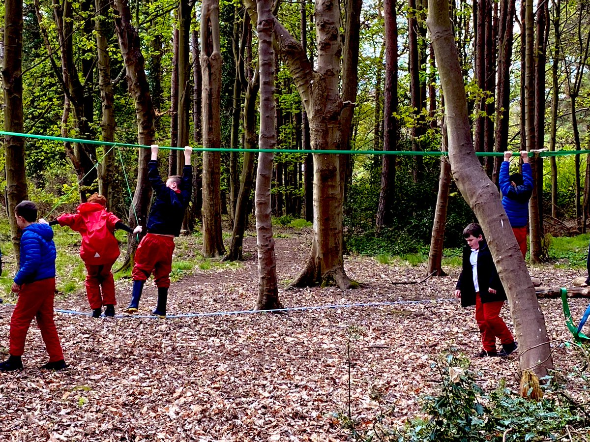 dpsforestschool tweet media