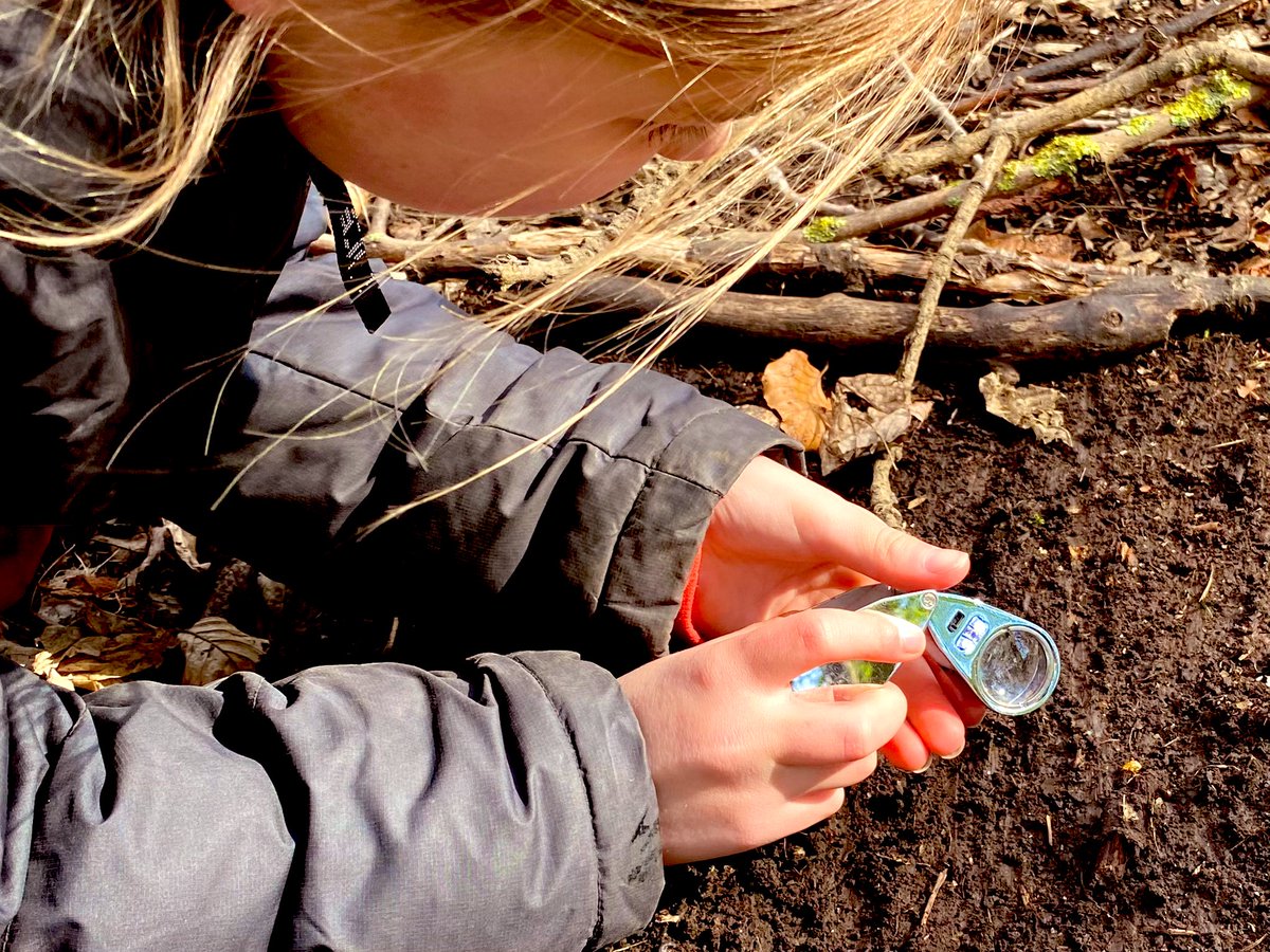 dpsforestschool tweet media