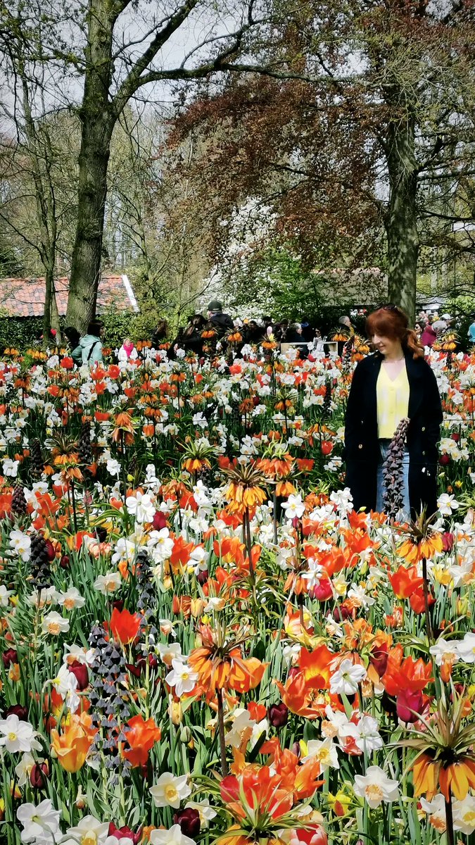BethanJV's tweet photo. In flower heaven at Keukenhof ❤️🌷❤️ https://t.co/v5NiZGPWuD