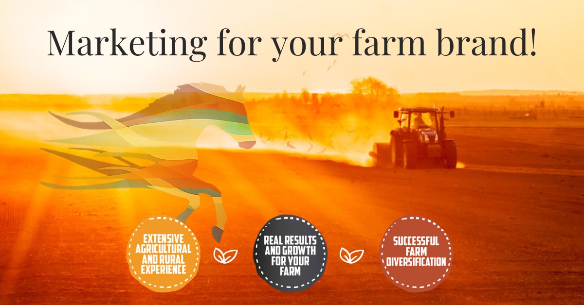 Are you trying to create a marketing strategy for your Agri-business? Finding it hard to know where to start? 

For a free initial consultation and some expert support on answering the above, get in touch today. 

#agrimarketing #farmdiversification #farmmarketing #farmbusiness