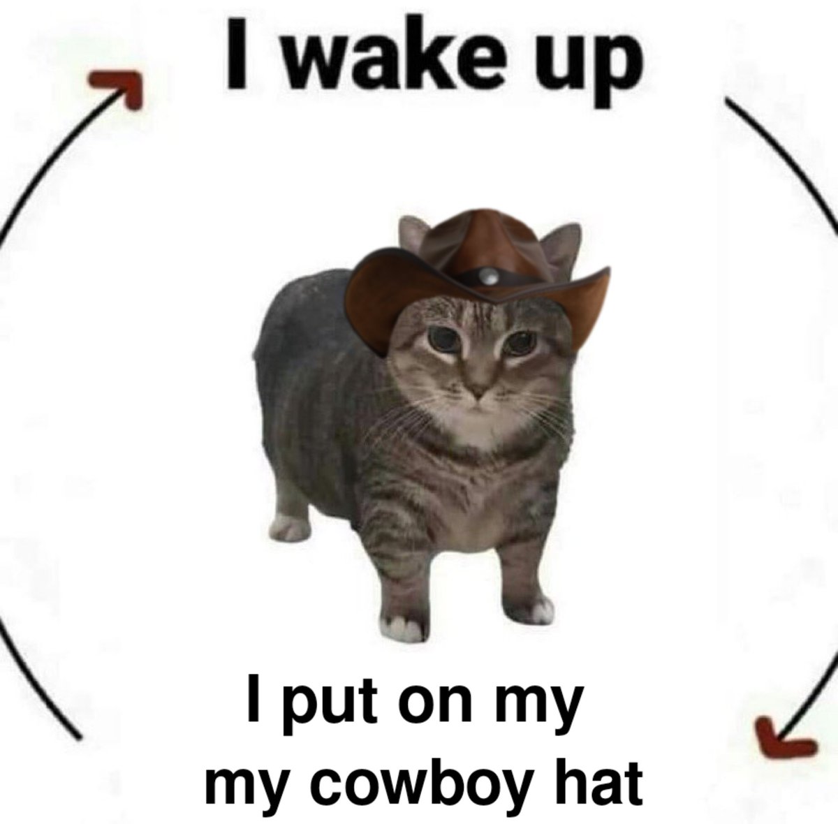CowboyCats's tweet photo. https://t.co/YHwW9catUV