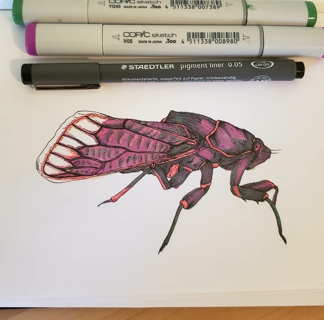 One of my very first copic sketches was this cicada! #InverteFest