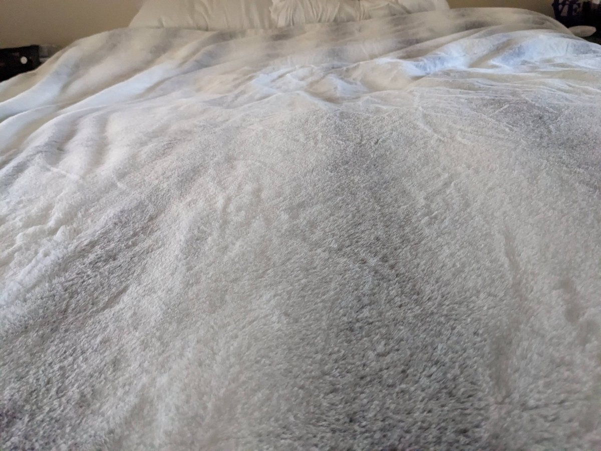 IMake_MyBed's tweet image. Simple
#makeyourbed
#gettingbackintoit
#googlepixel 
#teamgoogle 
#teampixel 
#pixel5
#koolaburrabyugg 
#uggbedding
#strongerthancancer
#imakemybedeverydayinadifferentway