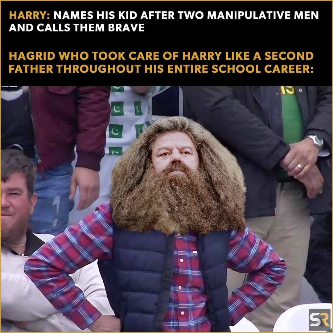 Lol justice for #hagrid! Have another kid, #harrypotter! 

#hogwarts #wizardingworld #memes #hogwartsapod #HarryPotterSeries #HarryPotter20 #kids #children #names