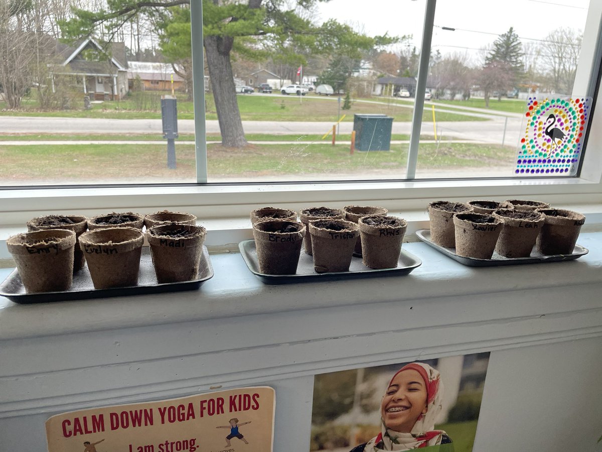 We are excited to take part in <a href="/Tomatosphere/">Tomatosphere™</a> and can’t wait to see our space tomatoes grow… will they be the same as our regular tomatoes??? <a href="/MsBrucker/">KBrucker</a> <a href="/SeanEaleyEDU/">Sean Ealey</a>