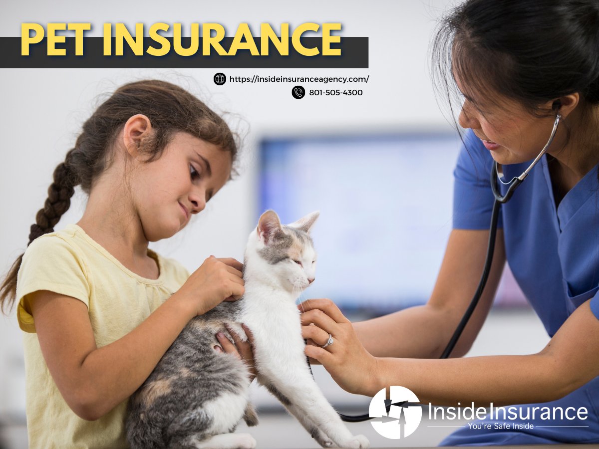 InsideInsSJ's tweet image. Give your pet the gift of health and happiness with our comprehensive pet insurance plans. From routine checkups to emergency care, we've got you covered! 

Visit insins.cc/pet for more information. #PetInsurance #BestCare #InsideInsurance