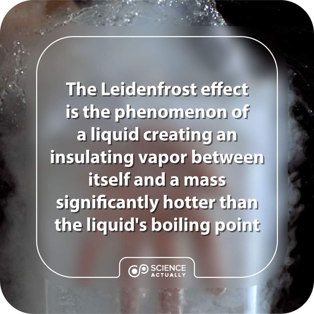 sciencetruly's tweet photo. The Leidenfrost effect is the phenomenon whereby a liquid, in near contact with a mass significantly hotter than the liquid's boiling point, produces an insulating vapor layer which keeps the liquid from boiling rapidly.

#science  #sciencefacts #liedenfrost #liedenfrosteffect https://t.co/3704tGYwMO