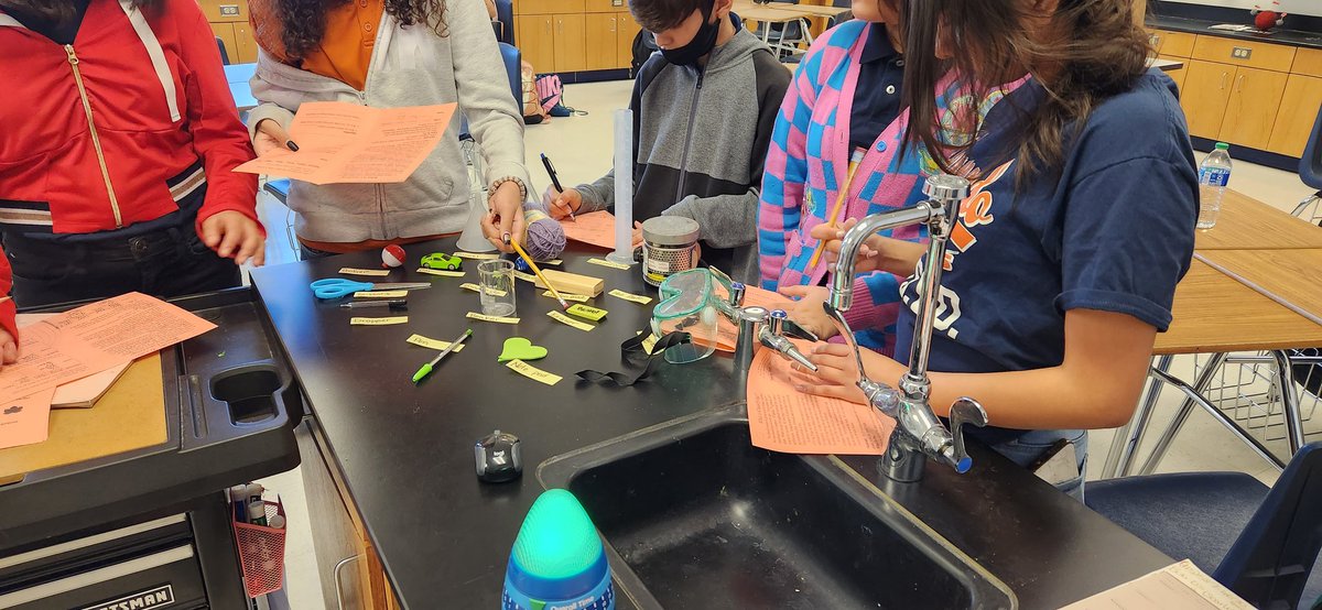 jpeter_HMS's tweet photo. Working on how objects are classified in preparation for how organisms are classified.  #CAVScience @epalomares_HMS @Hernando_MS @LRocha_HMS @RNava_HMS @bahia_HMS https://t.co/HpVn5MZ1lq