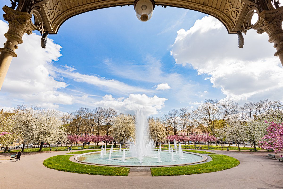 Série 'Dijon Printemps' Wilson beauté coiffée 

Quel magnifique décor printanier pour la place Wilson ici proposée en mode beauté coiffée.

#dijonprintemps #printemps #spring #tresordecotedor #eglise #placewilson #dijon #dijonpatrimoine #cotedor #bourgognefranchecomte