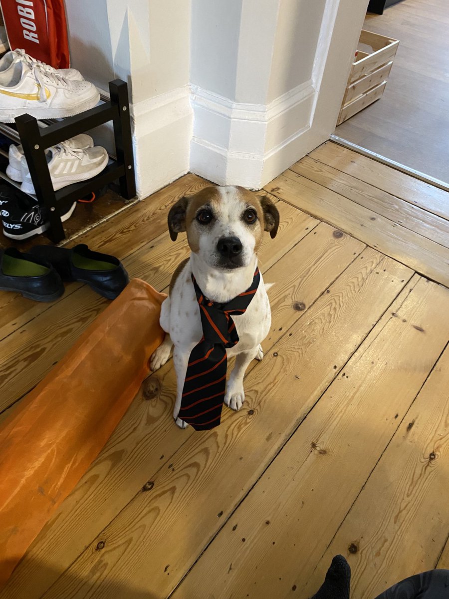 schoolhouse_cc's tweet photo. House photo done ✅ Poppy was the star of the show ❤️⚓️
⁦@Clifton_College⁩ https://t.co/wdYZWupyhk