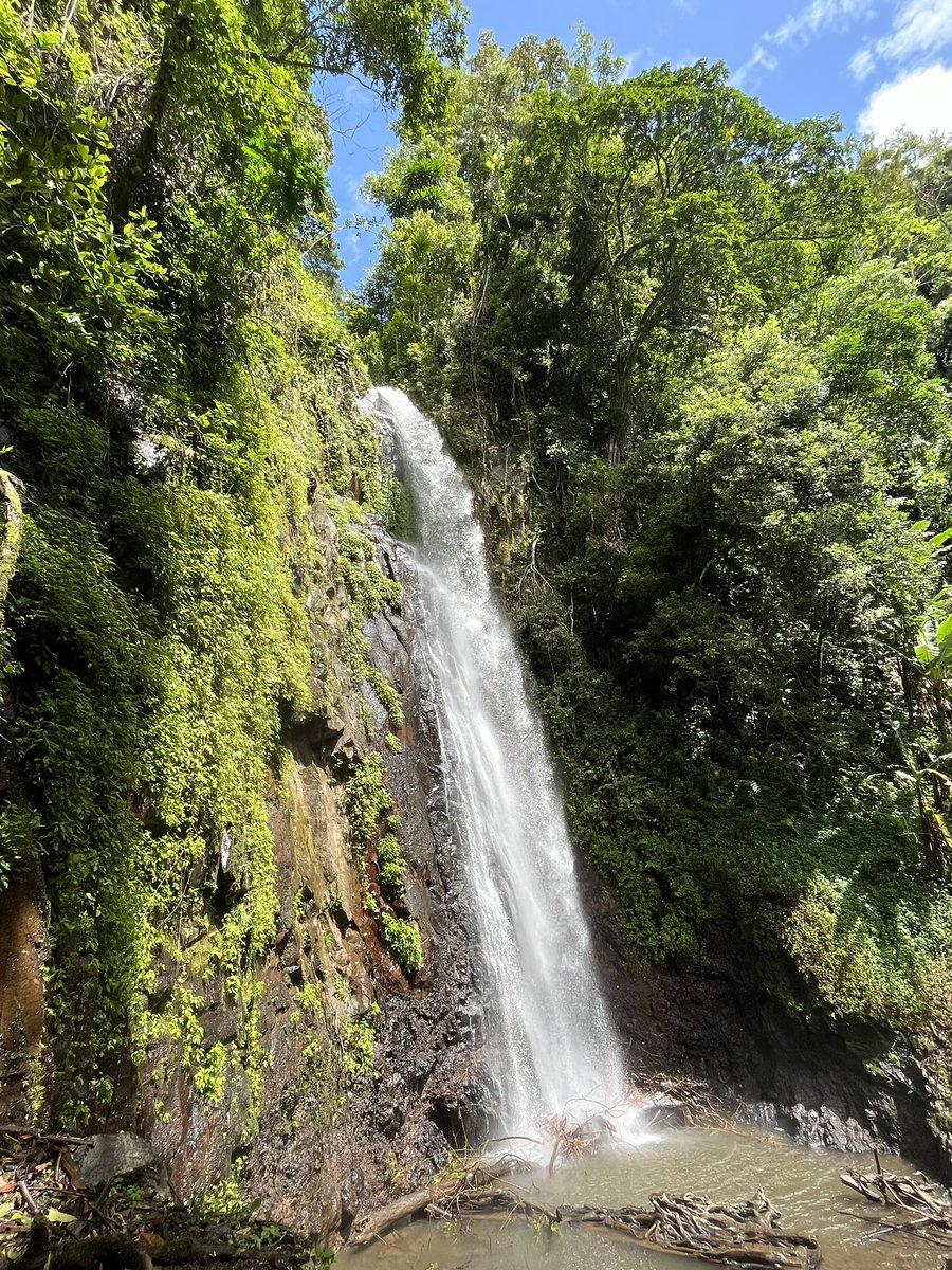 CleliaFleury1's tweet photo. 4eme jour de vacances : cascade Do Sao Nicolau, visite du centre de #SaoTome : jardin botanique (soutenu par le programme #Ecofac de la @DUeGabonGeStp) et le musée du café à Monte Café; shopping de coco sous toutes ses formes chez #Valúdo https://t.co/NvsYlS7RbJ