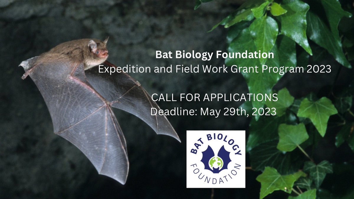 📣We are pleased to announce the launch of our Expedition and Field Work Grant Program 2023!! 🦇 Visit our website for more details batbio.org/#grant-program…