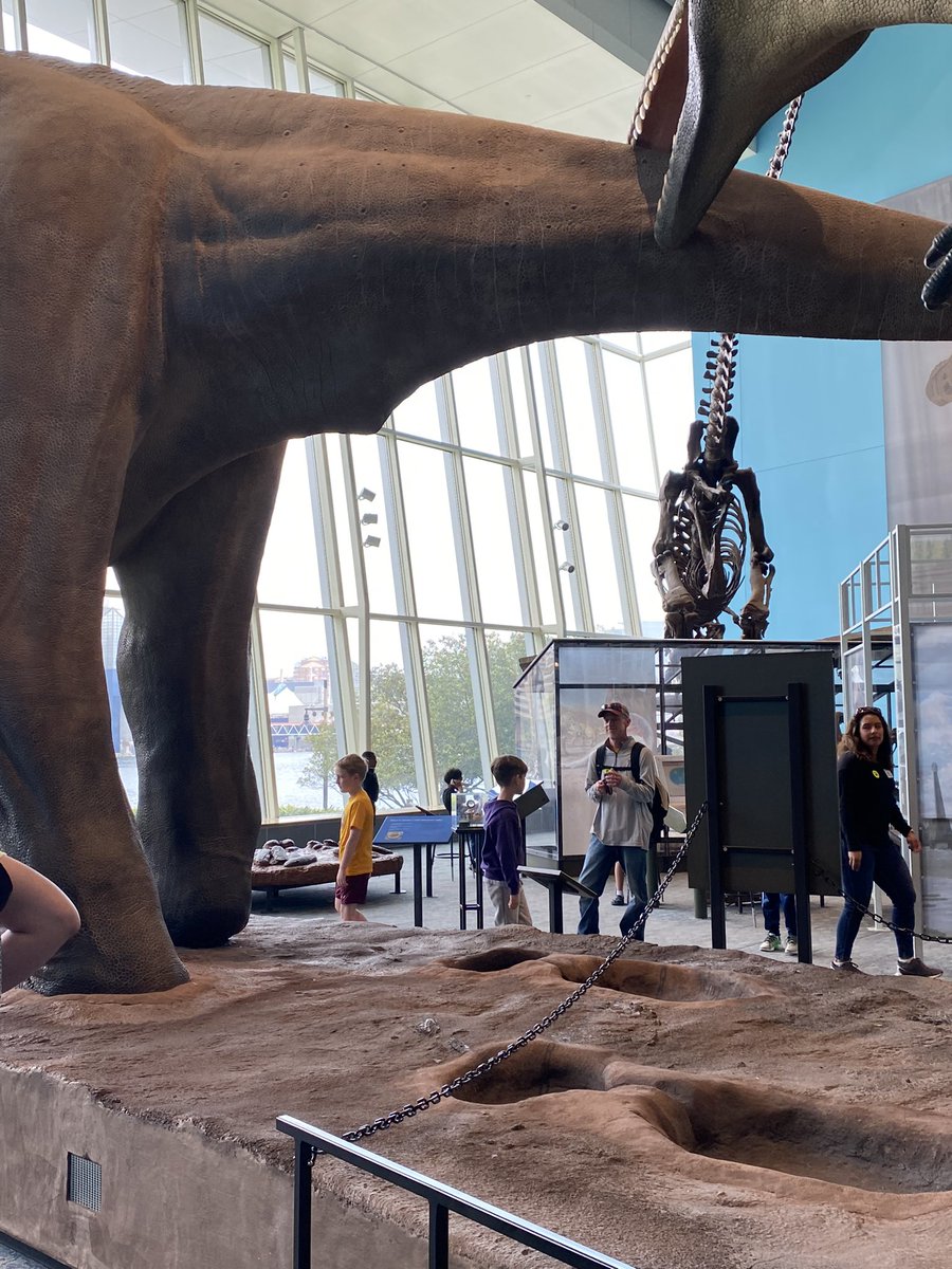 Mrs. Hale tweet media