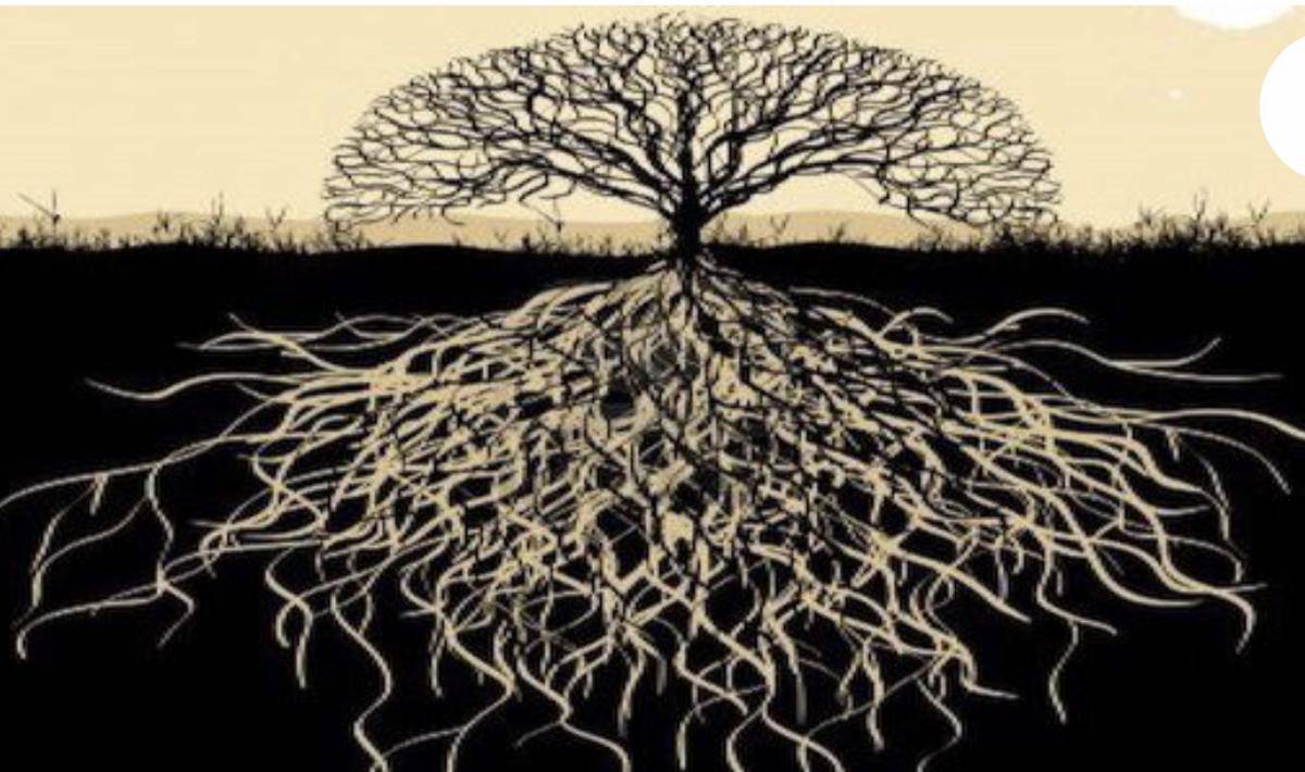 virginiog's tweet photo. Me gusta la metáfora del árbol para repensar que es lo que sabemos de las habilidades

Las habilidades denominadas blandas (raíces) no se ven pero es lo que permite desarrollar nuevas habilidades duras y cambiarlas tan a menudo como sea necesario (ramas y hojas)

Cuida tus raices https://t.co/TsLO4yuBej