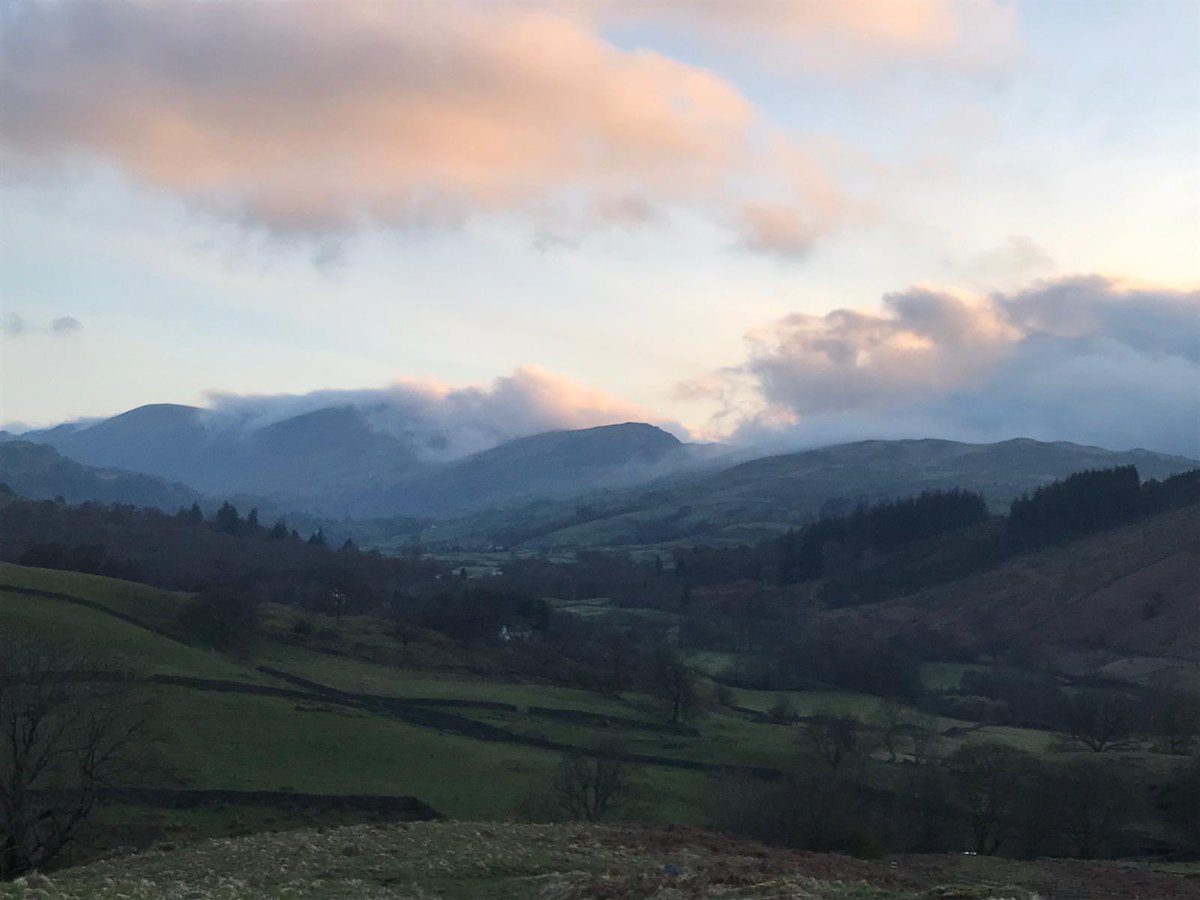 Temple Heelis Solicitors tweet media