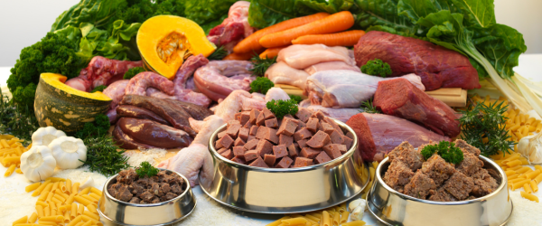 PaulTimothyVS's tweet photo. Animal Health with Smart Nutrition Practices

https://t.co/lwN7HFXSIA

#AnimalHealth #AnimalNutrition https://t.co/L5VZY9EBau