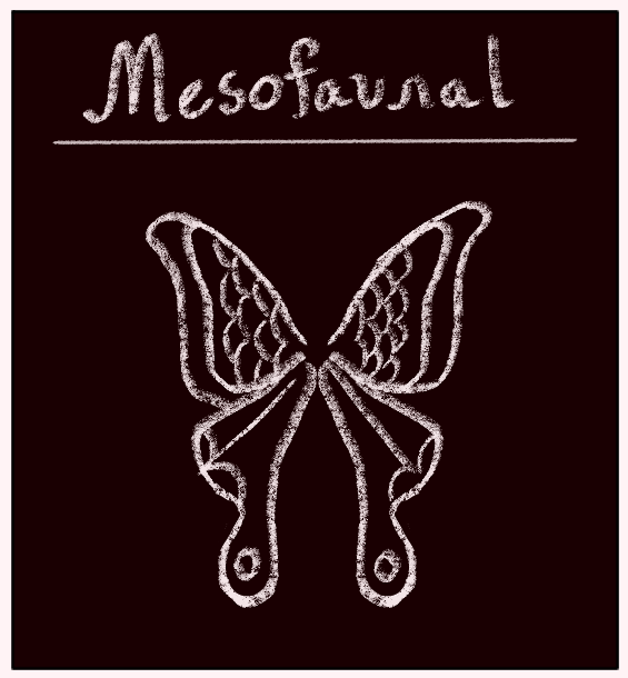 nrvsplayhouse's tweet photo. And our Archetype is Mesofaunal!

Mesofaunal fae are as varied in their bug-like appearances as they are in personality and skill. They have a particular knack for twisting fate in their favor, and a strong sense of creativity crafted by their inability to lie.
#TTRPGs #indiegame https://t.co/N2ZqbY2m0L