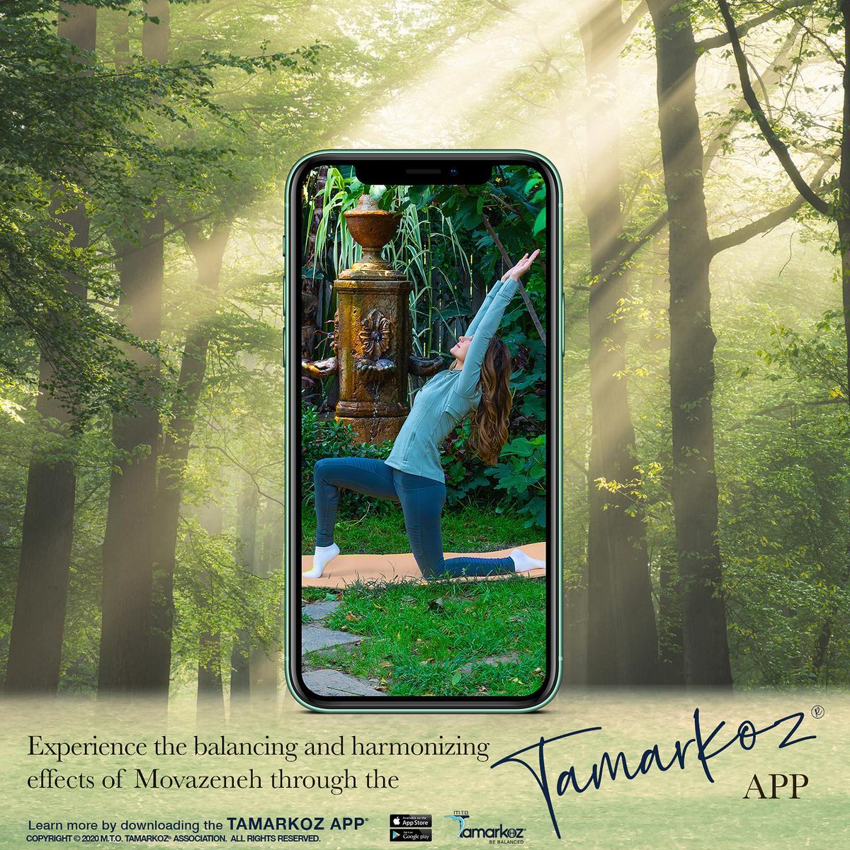 M.T.O. Tamarkoz Association tweet media
