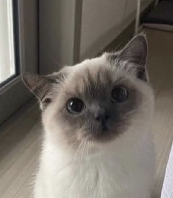 Central  Bank Usual   VS      Bank When Collapse