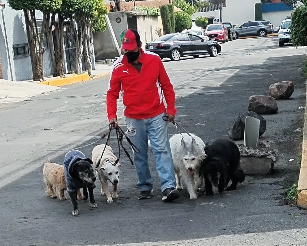Perrosenlacalle's tweet photo. Si pasas por esta vida sin hacer feliz a otros seres , cambiarles la vida y dejar tu granito de arena para que este mundo sea mejor de lo que lo encontraste. No habrá valido la pena vivir..... https://t.co/dmfdsKusyg