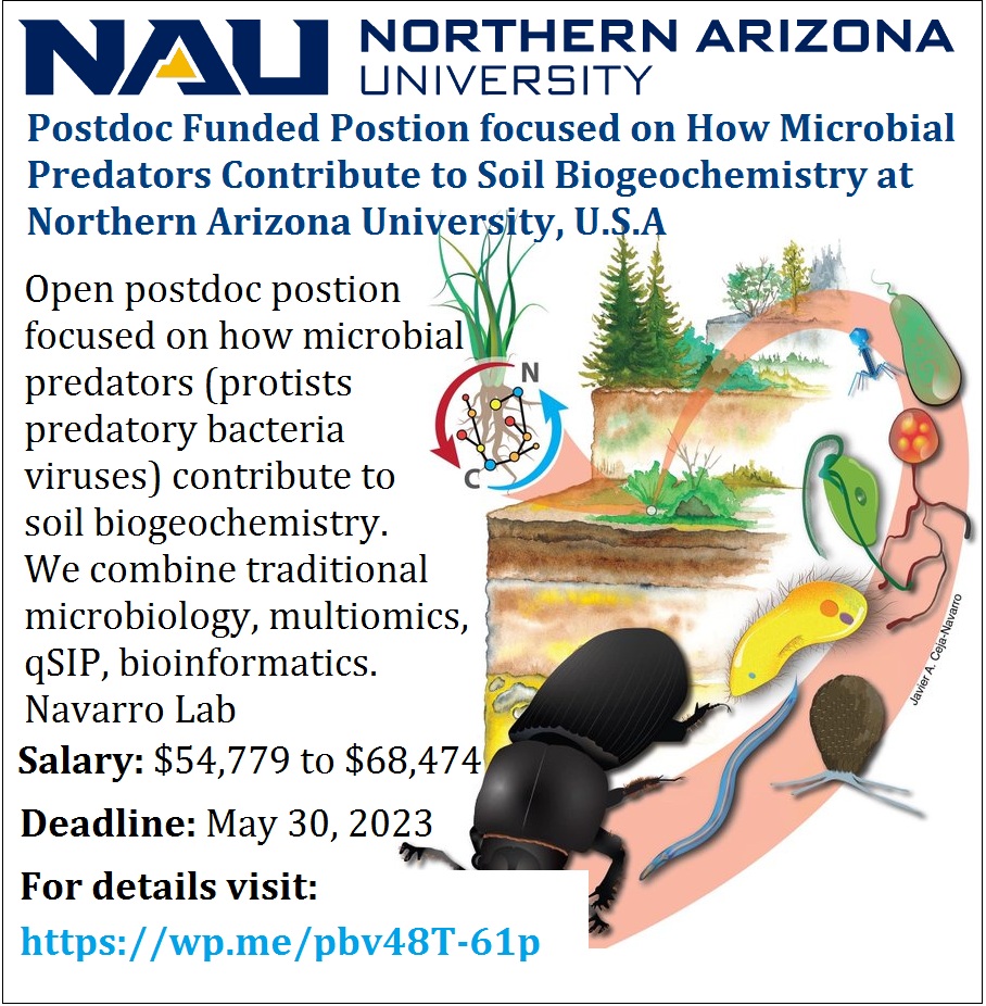 📌 Postdoc Funded Postion focused on How Microbial Predators Contribute to Soil Biogeochemistry at Northern Arizona University, U.S.A 🇺🇸... Please share and spread the word! For details visit the link below: wp.me/pbv48T-61p