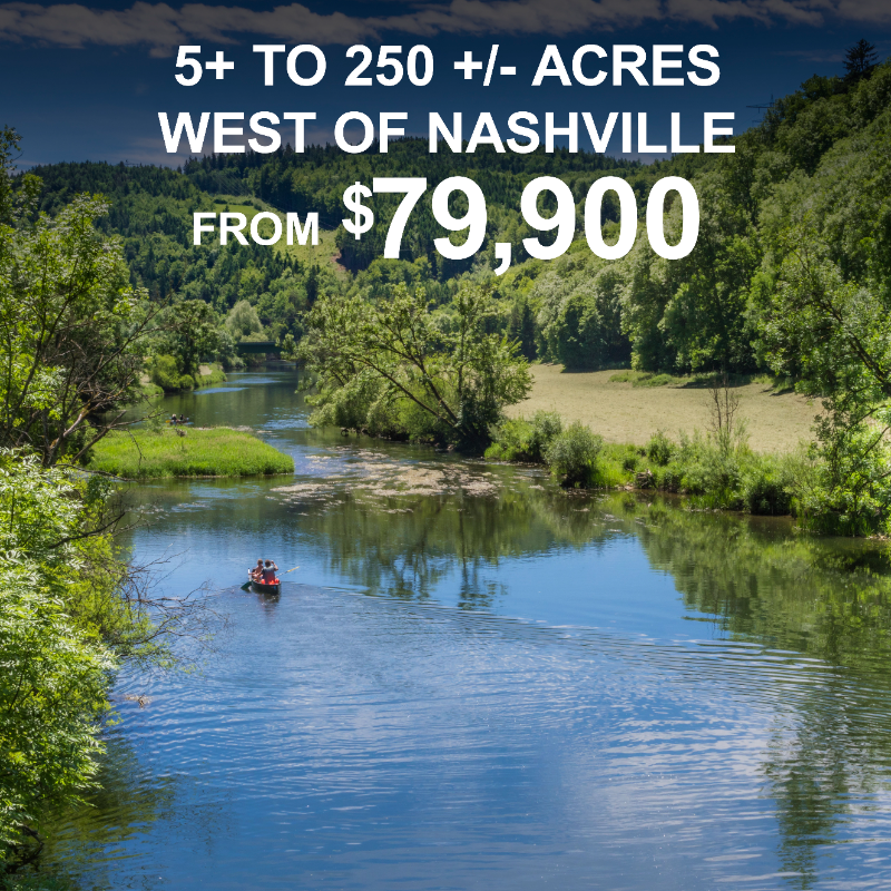 TNLandandLakes's tweet photo. WEST OF NASHVILLE
WOODLANDS OF BUFFALO RIVER
HUGE LAND LIQUIDATION MAY 20TH
5+ to 250+/- acres from $79,900
RUSHING CREEKS, RIDING TRAILS, SOARING VIEWS

20+/- Ac $129,900
11+/- Ac $99,900
5+ Ac $79,900

Reserve a spot 888-BIG-LAND or https://t.co/Sj0BdiQSdE