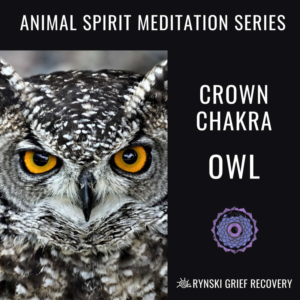 Rynski's tweet image. The wise and mystical owl is the spirit animal for our crown chakra meditation. Check out the spirit animal meditation series in the Rynski Reiki Meditation Library: rynskigriefrecovery.com/rynski-meditat…