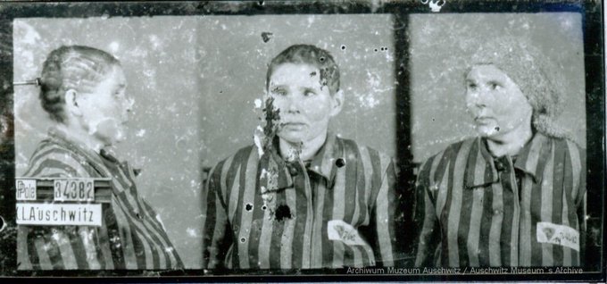Auschwitz Memorial tweet media