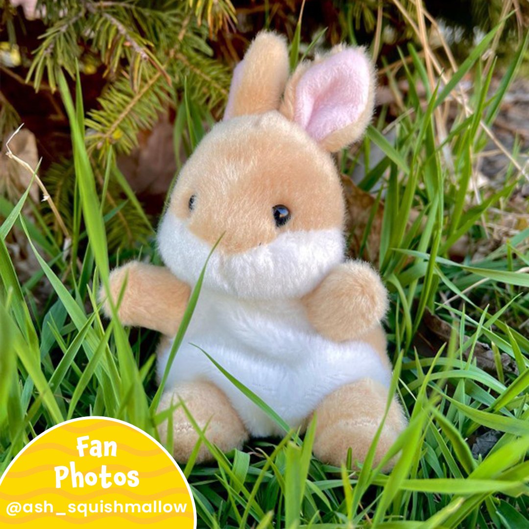 PalmpalsO's tweet photo. Hop into the great outdoors with Ella ๐ฟ๐ Thank you @ash_squishmallows for taking Ella out for some sunshine ๐
#palmpalsparty #palmpals #plushies #plushlife #plushieslife โ
#stuffedanimal #kawaiiplush #cuteplush #stuffedanimalsofinstagram #fanposts #fans #fanlove https://t.co/UgFNT4QgUd