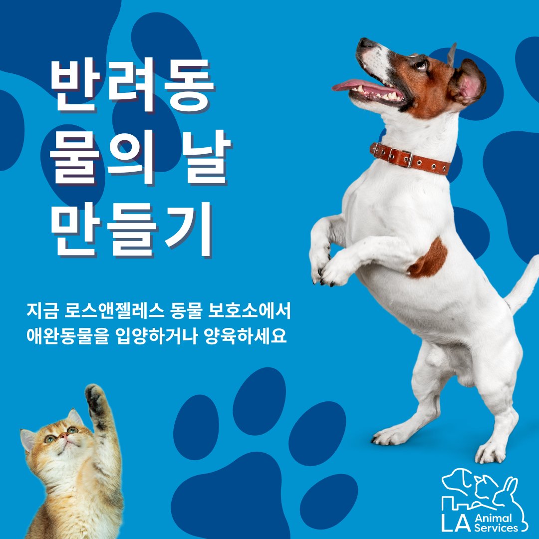 LACityPets's tweet photo. The Open Arms Challenge helps promote new approaches to encourage inclusivity, increase pet adoptions, foster recruitment, volunteer interest, and a welcoming environment for pets and people. @MaddiesFund #openarmschallenge #adopt #foster #lacitypets https://t.co/fI5CZa2tBX