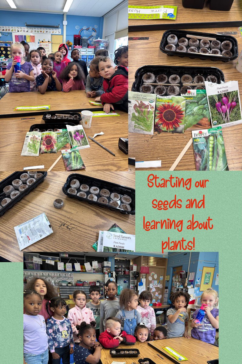 Spring is time for learning about plants @YatesSCSD ! #seedingschenectady  #farm2school