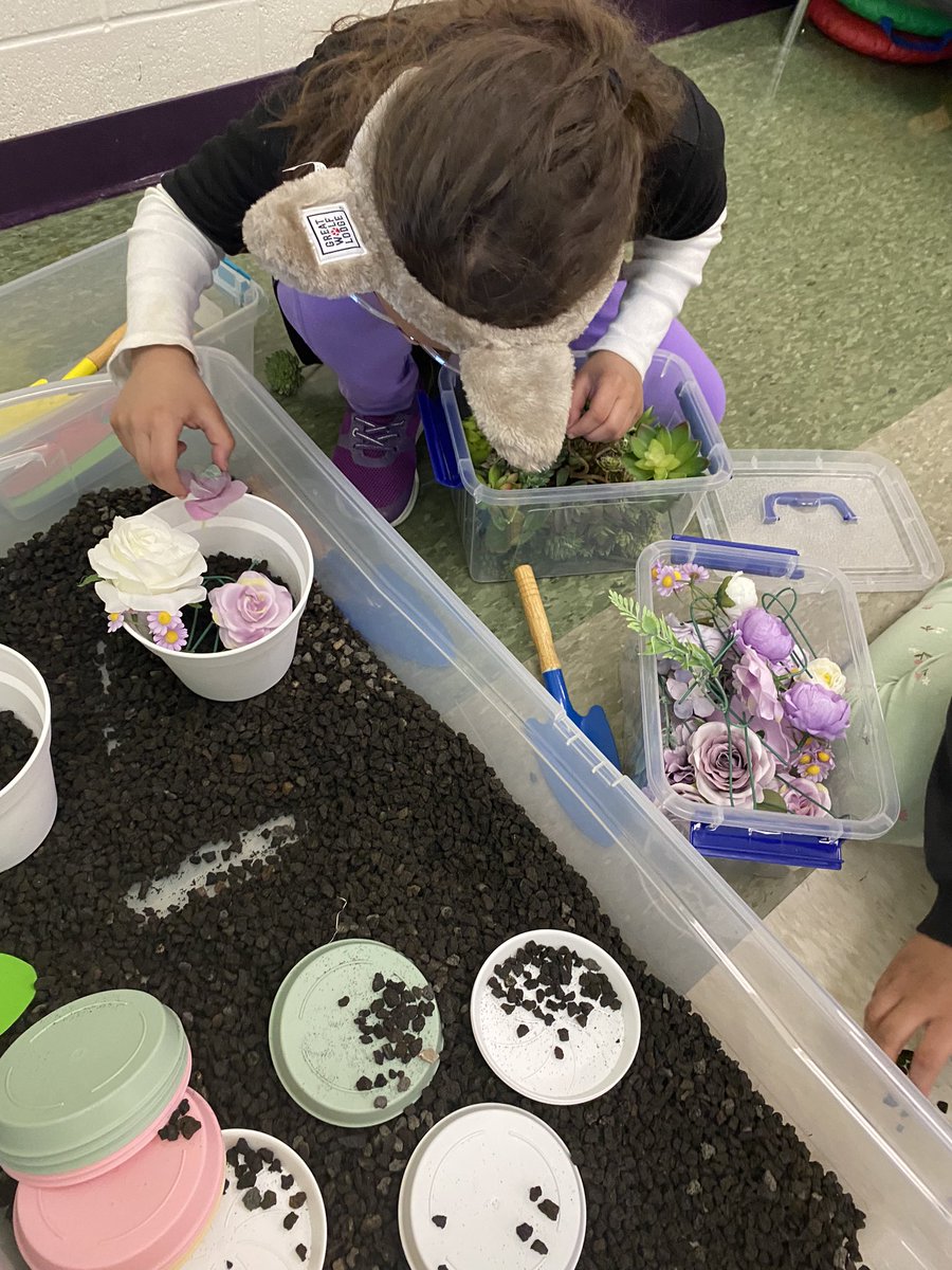 Shawn Kavanaugh tweet media