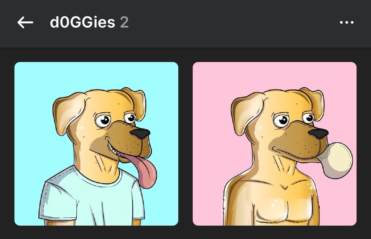 Zzcloud4's tweet photo. I have two $Doggo NFT https://t.co/fjDoz9dVWT