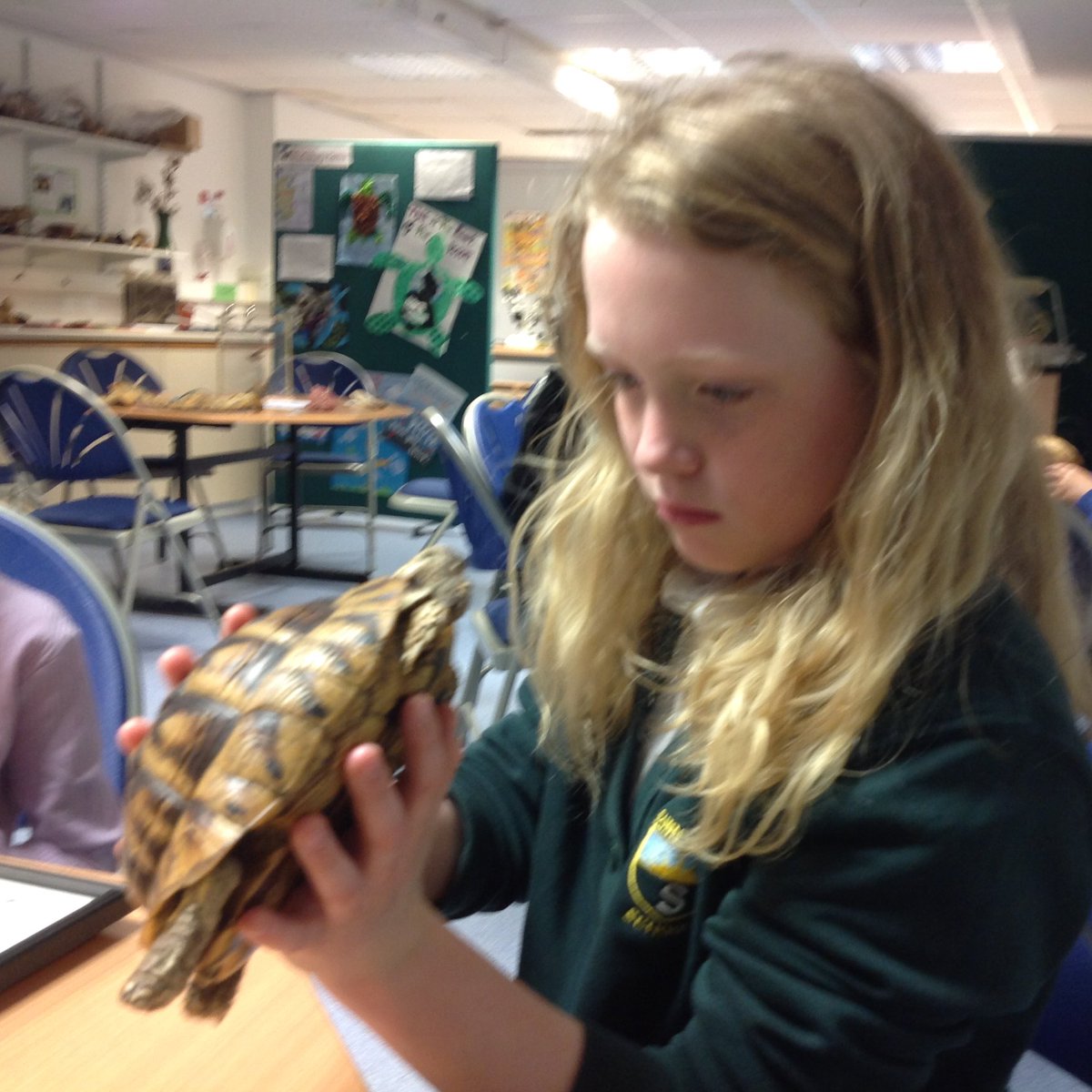 ASfD_HSS's tweet photo. Curious minds captured lots of information during our P4-6 trip to the Zoology building on Monday. We also enjoyed a well deserved lunch and burned off some energy at Seaton Park.  
@UoABiodiversity thank you for a wonderful experience
#fun #learning #animalhabitats #active https://t.co/pA04yaPbAB