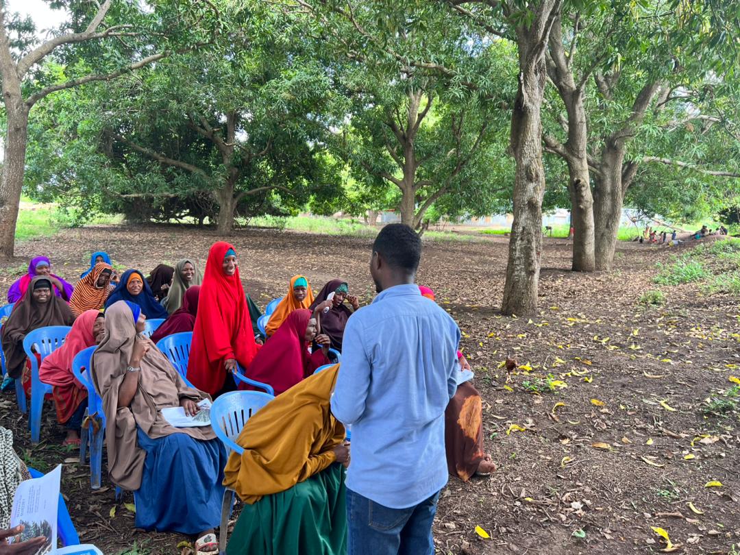 Nuros9Solutions's tweet photo. With river Shebelle slowly coming back carrying valuable water and one canal already rehabilitated, Mareerey farmers enter Day2 of training on best practices before starting sowing, supported by local district authority and IOM as part of stabilisation activity in Balad District. https://t.co/nOawBBEOYS