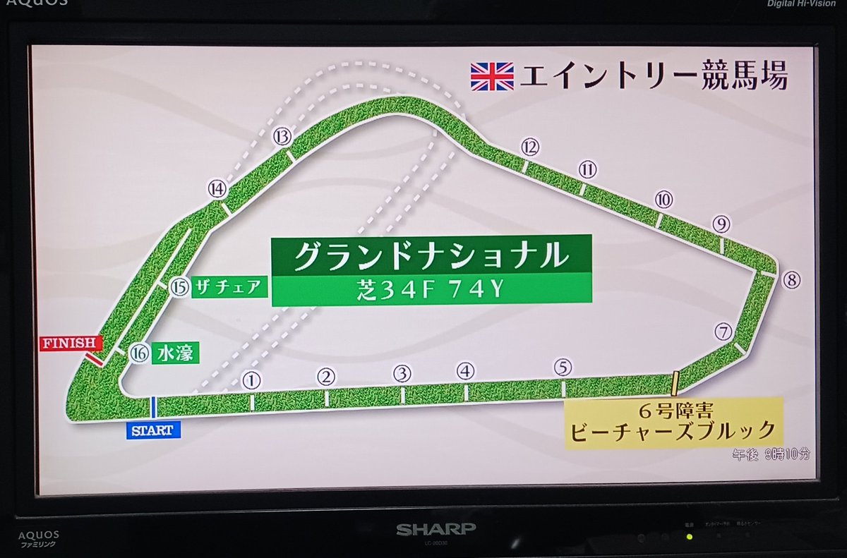 moonriverwing's tweet photo. グランドナショナルは過酷だね😨34Fだってよ… #世界の競馬 #ALLINLINE https://t.co/ciqVfLlDDe