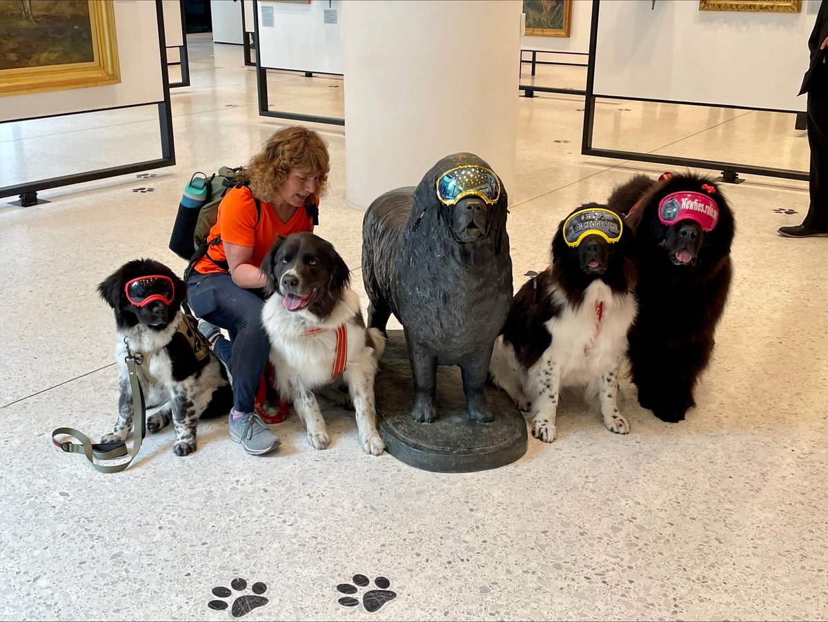 We are still howling with delight from our dog-filled programs this weekend! We started with pet friendly Furry Friday, then a meet and greet with K9 water rescue Newfies, and capped it off with Breed Spotlight with Manchester Terriers! 😀🐾