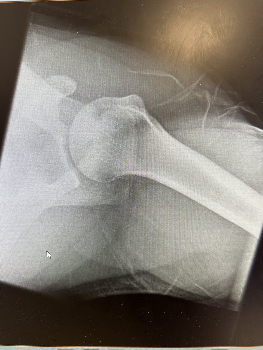 The Sp⚽️rts Physio tweet media