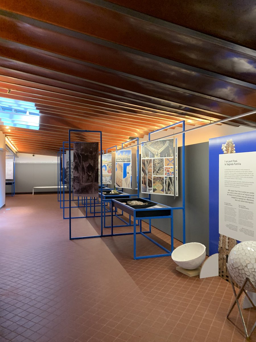 Mireia Freixa tweet media