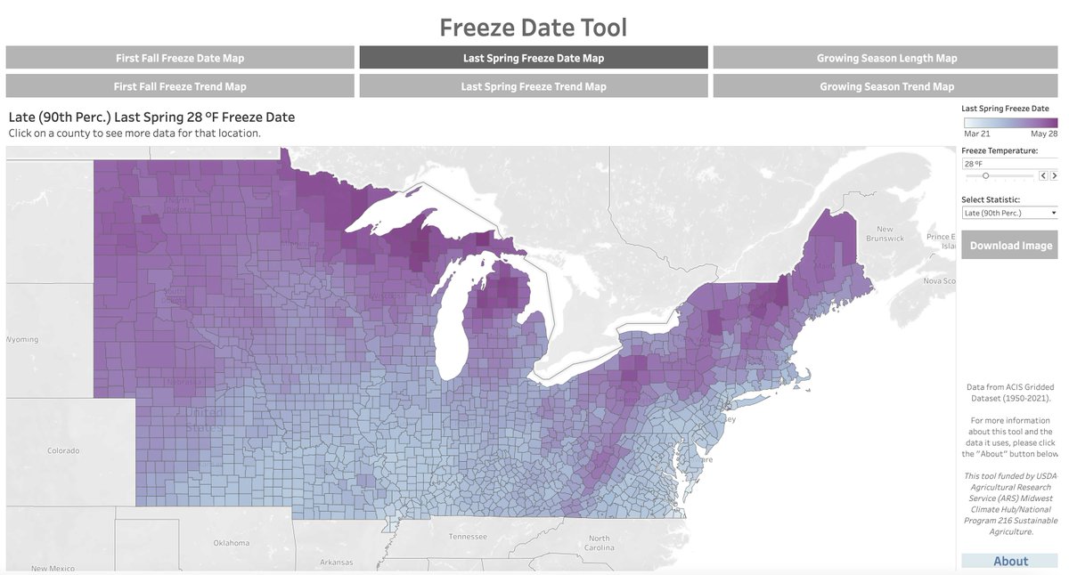 For the lower Midwest, only ~10% of all last 28F freeze dates occur later than mid-to-late- April. We're still a ways off from the "latest last freeze" but venturing into rare territory. Explore historical last Spring freeze dates w/ the Freeze Date Tool mrcc.purdue.edu/freeze/freezed…