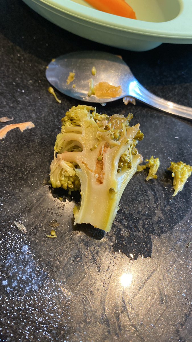 sidonihilliard_'s tweet photo. @Tesco @tesconews why is there maggots in my broccoli ?! https://t.co/NpzmkBRYB6