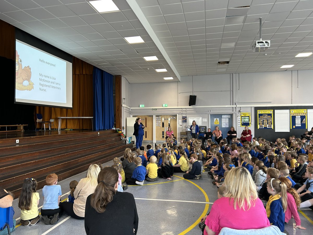 MuirhousePS's tweet photo. Lisa who is a veterinary nurse from @ClydeVetGroup came to speak to us today about silkie chickens and the best way to look after our own silkies! @MPSChicks #happychicks https://t.co/JyBnu1mb7X