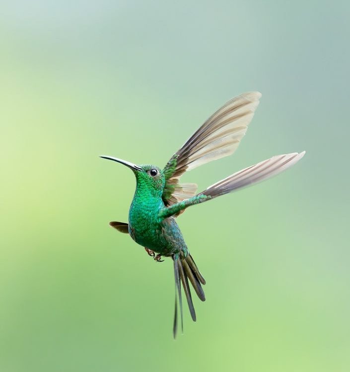 if you love this photo Say "YES" also retweete❤️